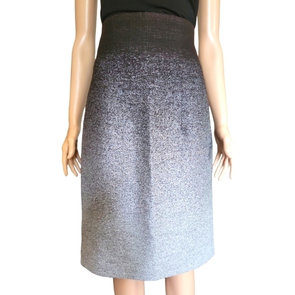 Monique Lhuillier Ombre Skirt - Picture 1 of 7